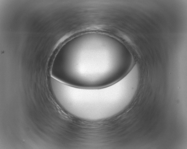 X0000082731308200701261045