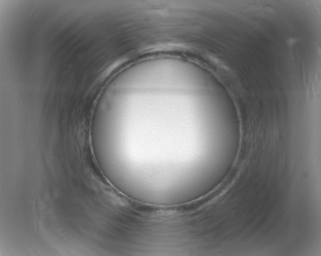 X0000082731313200701261045