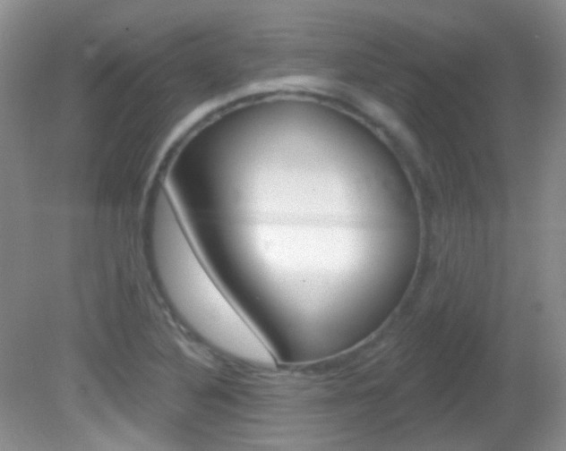 X0000082731316200701261045
