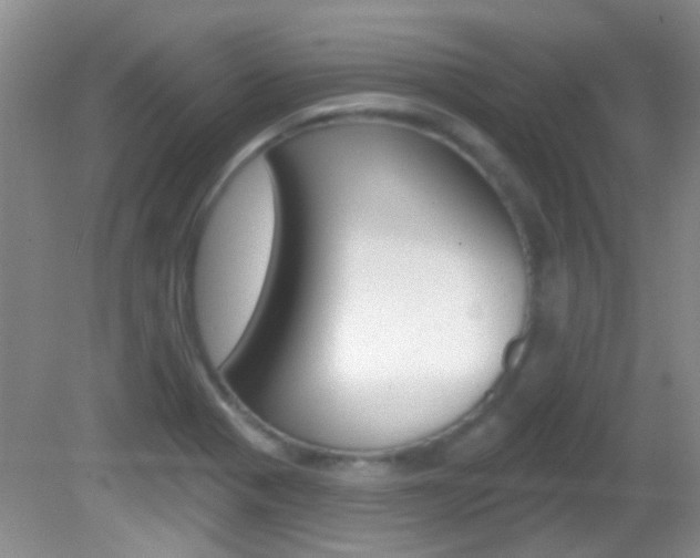 X0000082731321200701261045