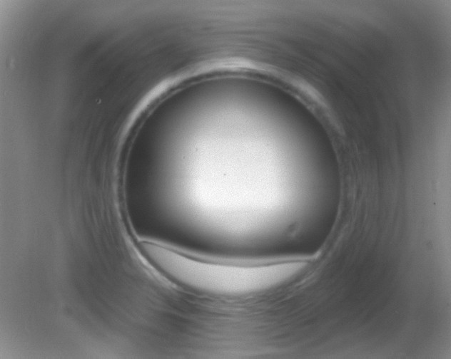 X0000082731326200701261045