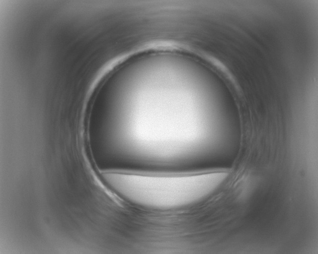 X0000082731327200701261045