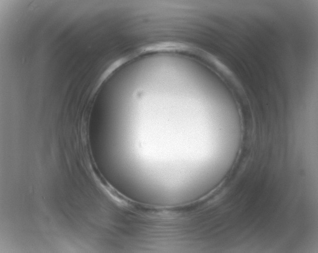 X0000082731329200701261046
