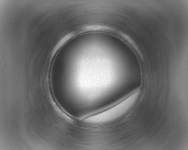 X0000082731330200701261046