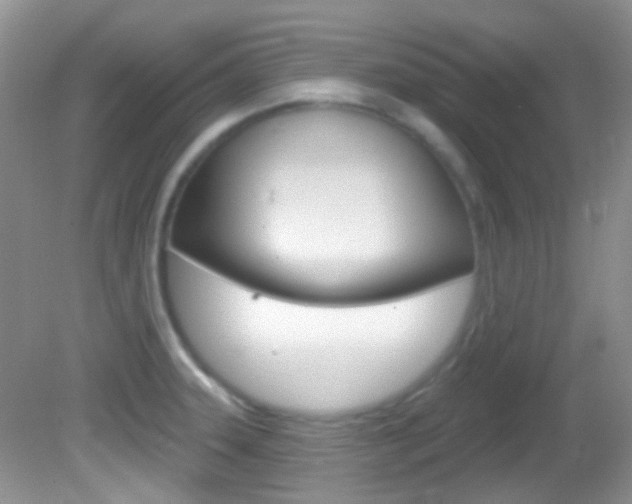 X0000082731331200701261046