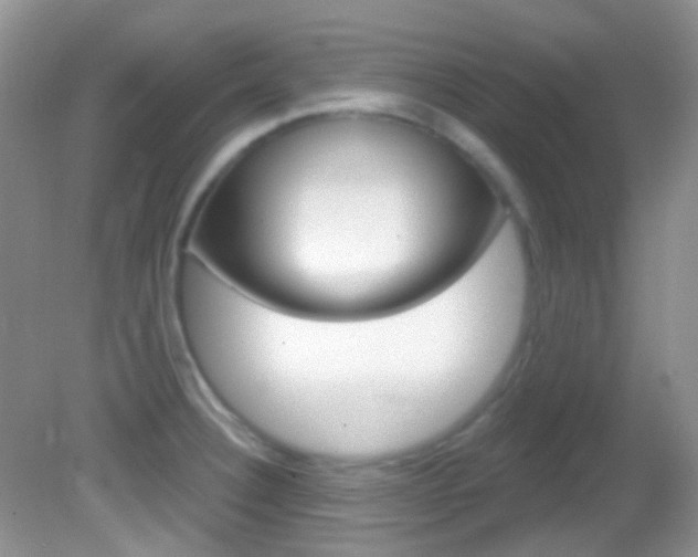 X0000082731332200701261046