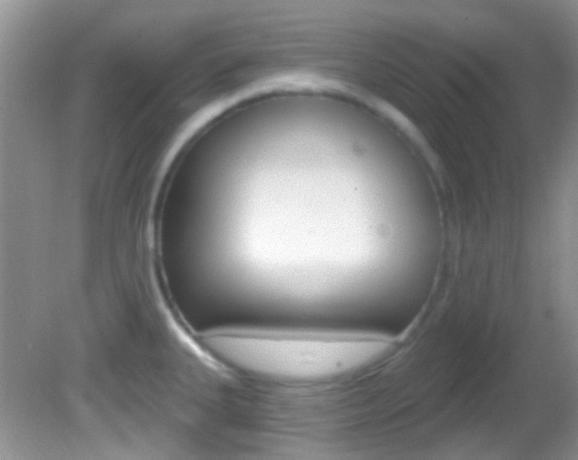 X0000082731335200701261046