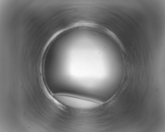 X0000082731339200701261046