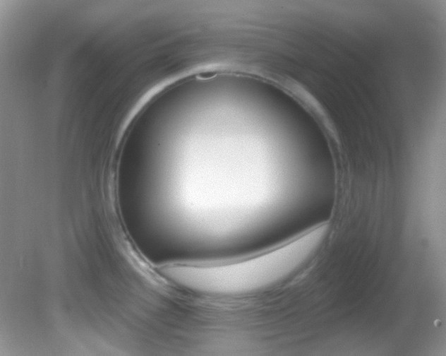 X0000082731340200701261046