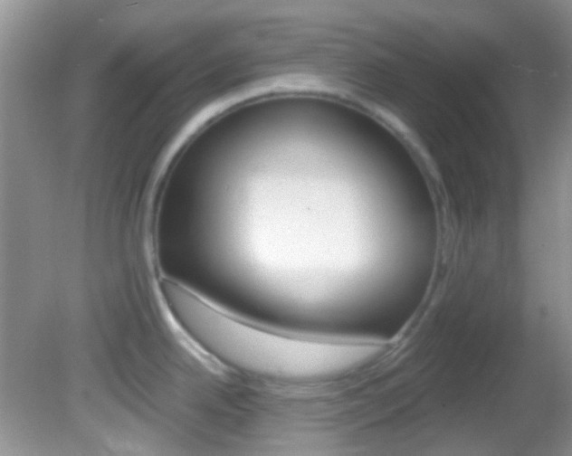 X0000082731342200701261046