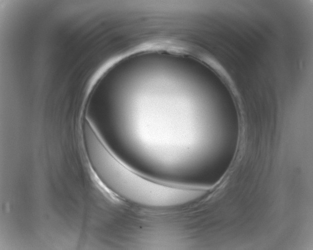 X0000082731344200701261046