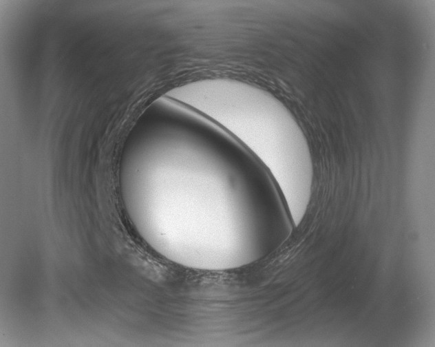 X0000082731345200701261045