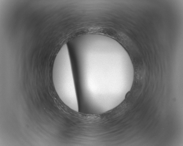 X0000082731346200701261045