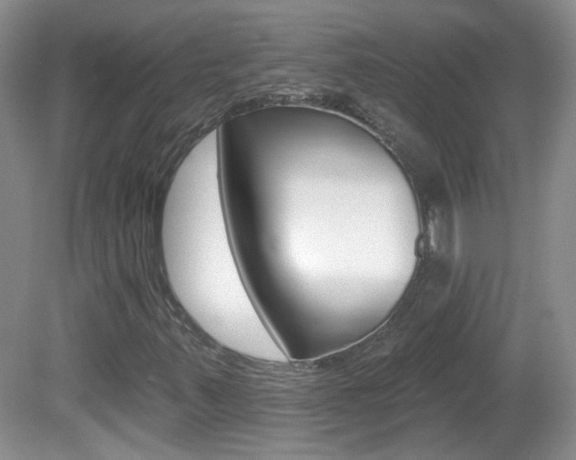 X0000082731347200701261045