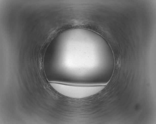 X0000082731348200701261045