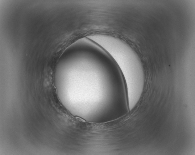 X0000082731349200701261045