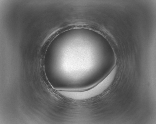 X0000082731352200701261045
