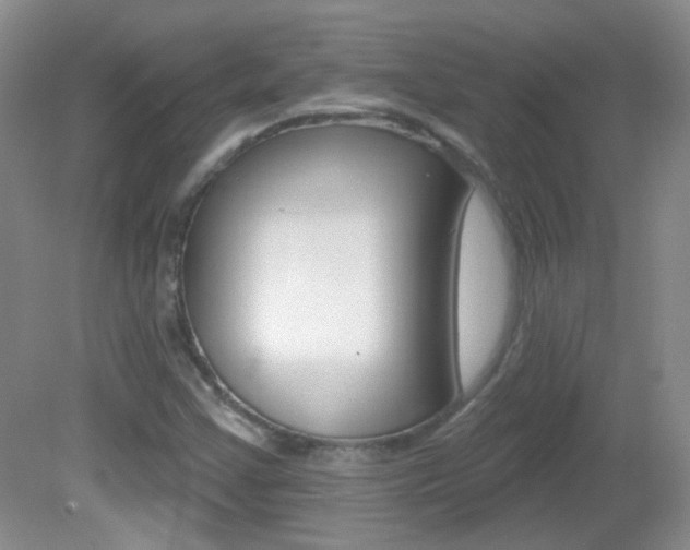 X0000082731355200701261045