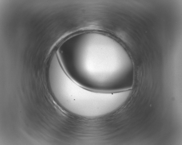 X0000082731356200701261045