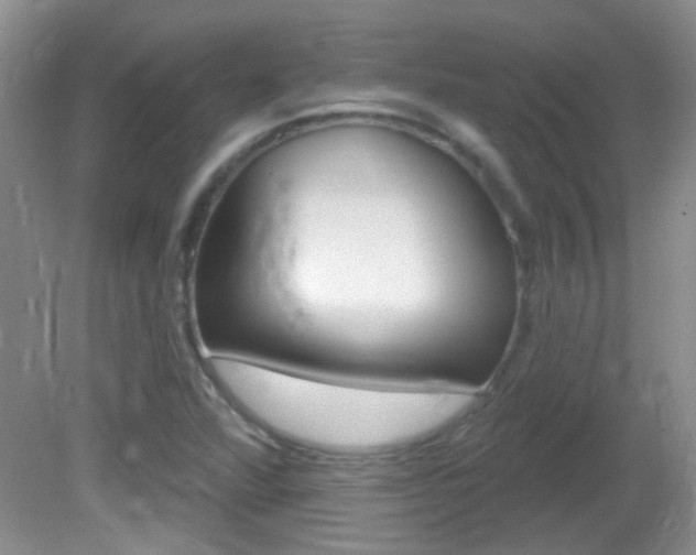X0000082731360200701261045