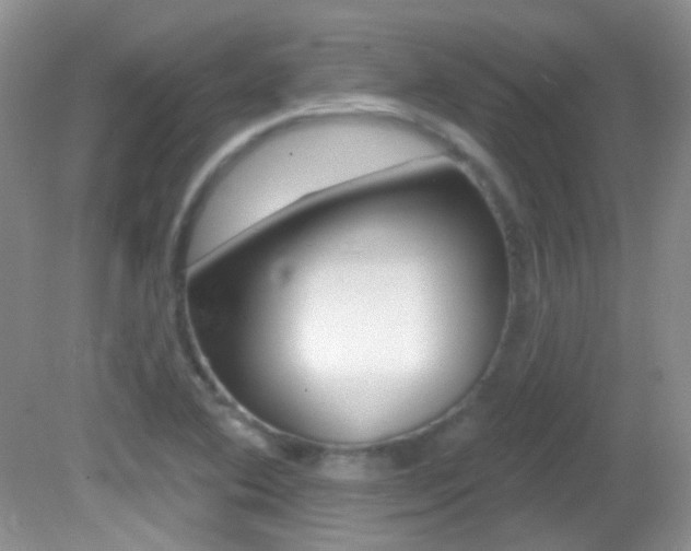 X0000082731364200701261045