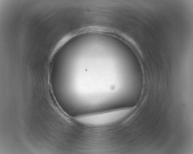 X0000082731365200701261045