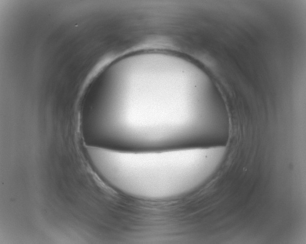 X0000082731366200701261045