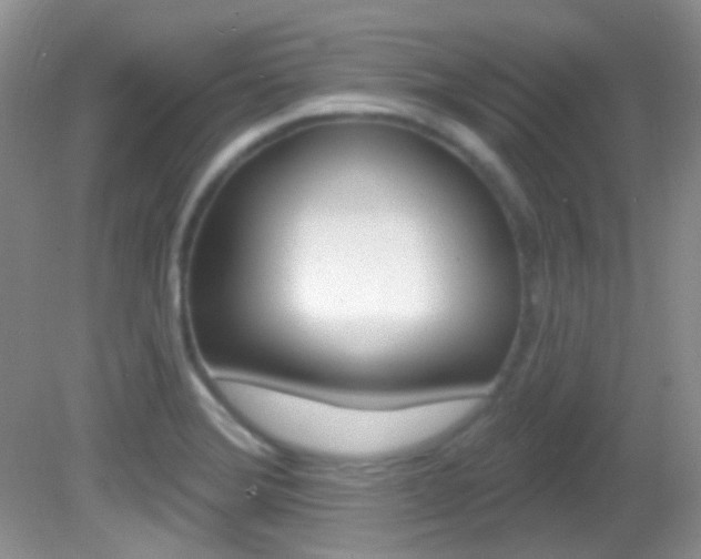 X0000082731372200701261045
