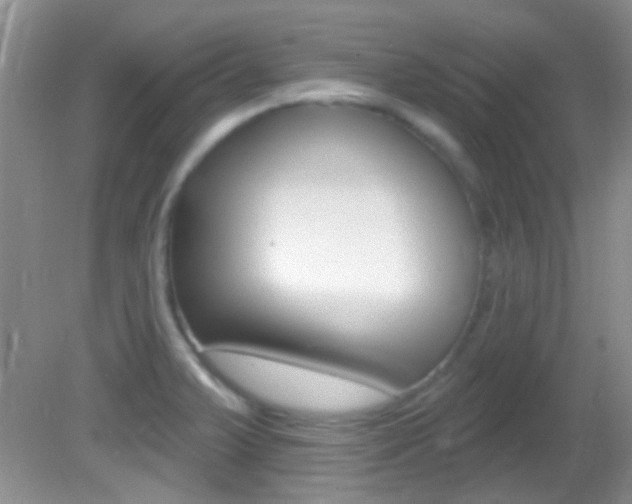 X0000082731375200701261044