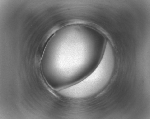 X0000082731377200701261044