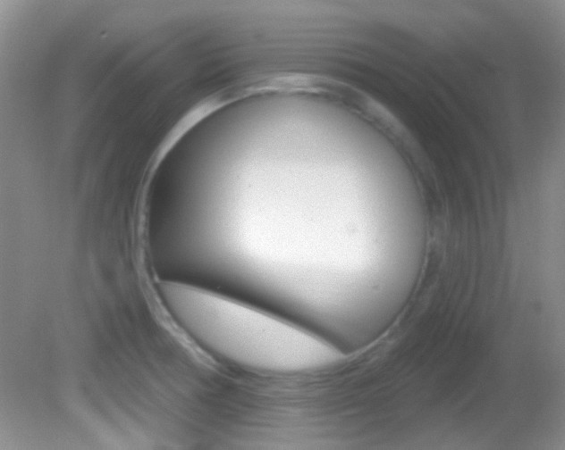 X0000082731378200701261044