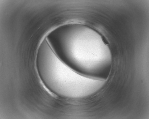 X0000082731379200701261044