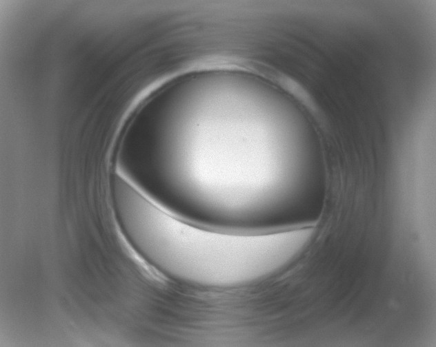 X0000082731380200701261044