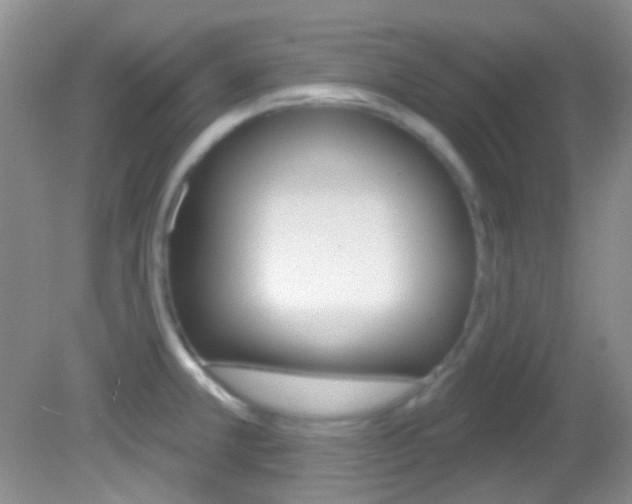X0000082731381200701261044