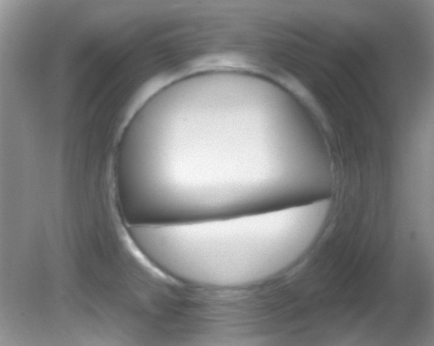 X0000082731382200701261044