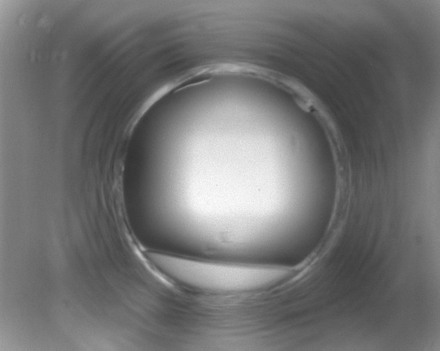 X0000082731385200701261044