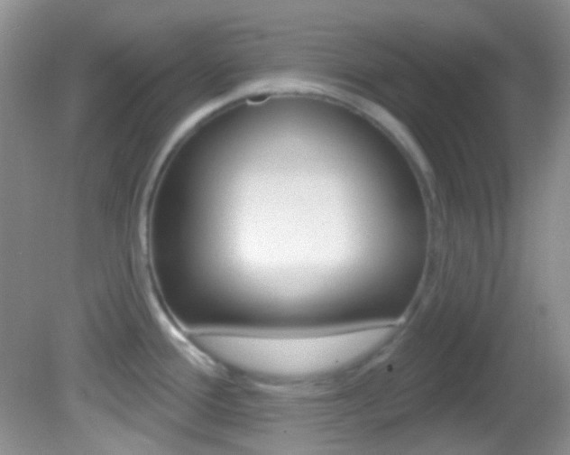 X0000082731388200701261044