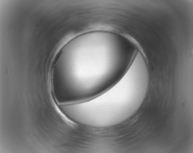 X0000082731391200701261044