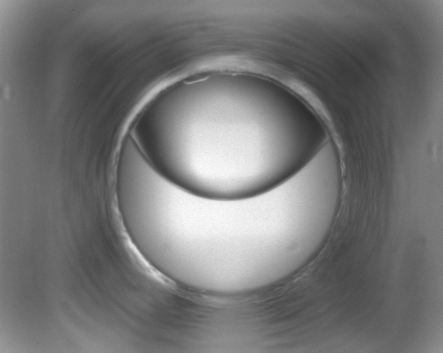 X0000082731392200701261044
