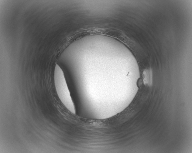 X0000082731395200701261043
