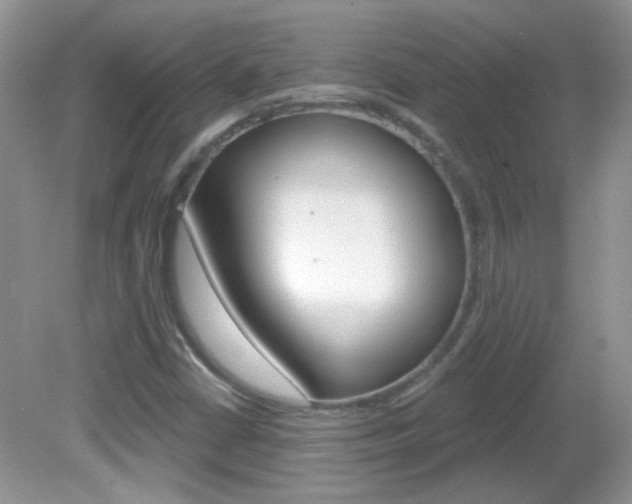 X0000082731402200701261044