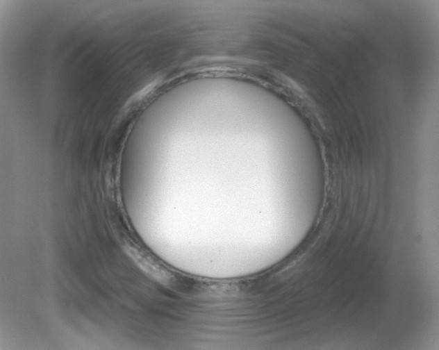 X0000082731403200701261044