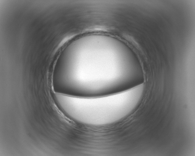X0000082731404200701261044