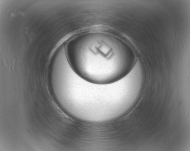 X0000082731410200701261044