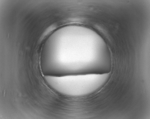 X0000082731411200701261044