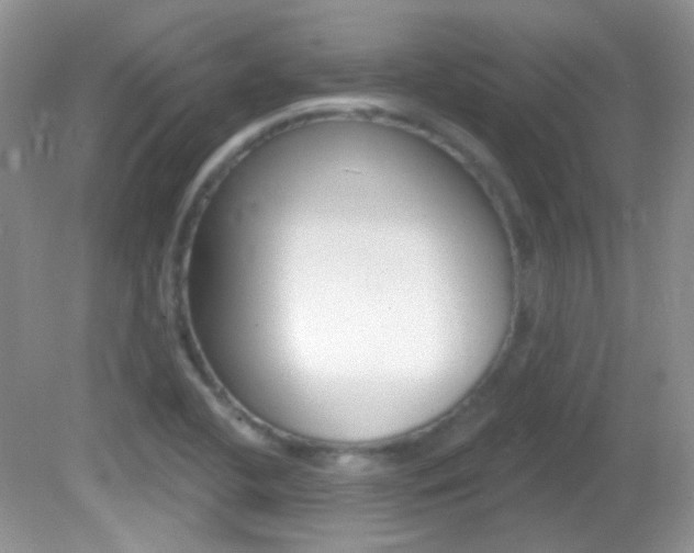 X0000082731412200701261044