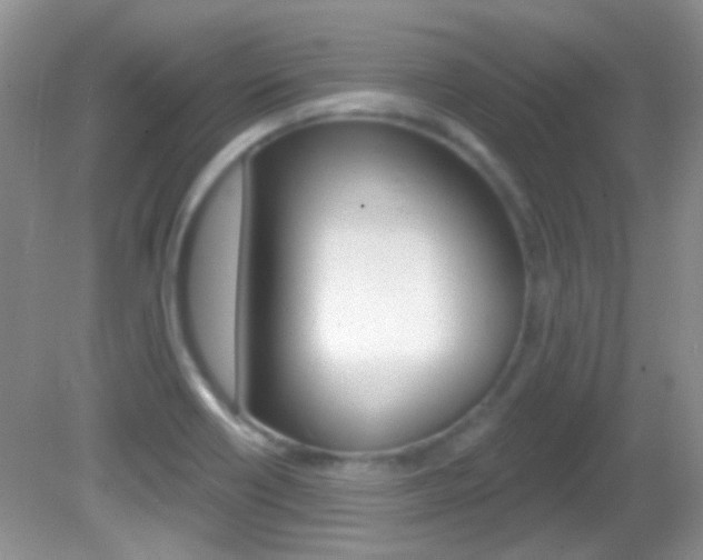 X0000082731418200701261044