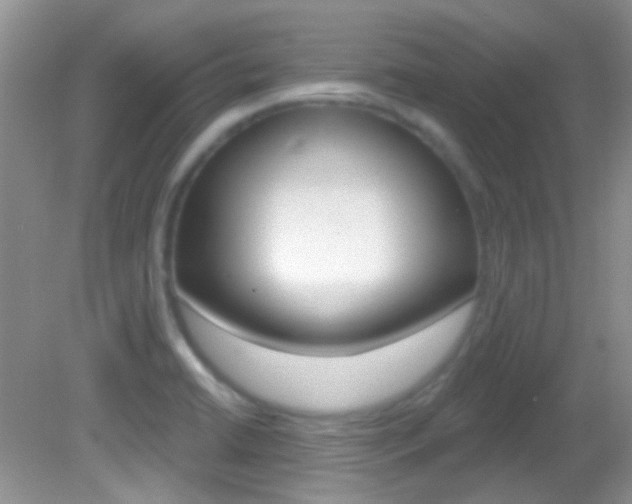 X0000082731422200701261044