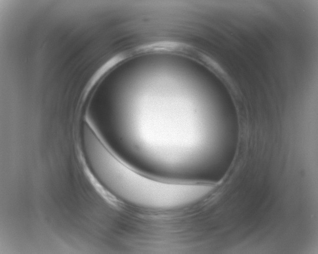 X0000082731426200701261044