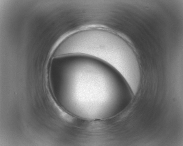 X0000082731430200701261044
